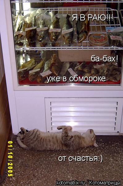 Я В РАЮ!!! ба-бах! уже в обмороке от счастья:)... Котоматрица: Я В РАЮ!!! ба-бах! уже в обмороке от счастья:)