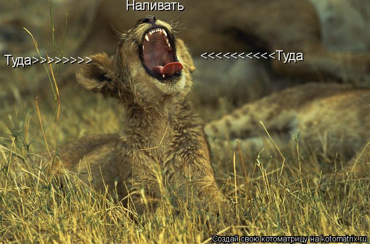 Котоматрица: Наливать Туда>>>>>>>> <<<<<<<<<<Туда