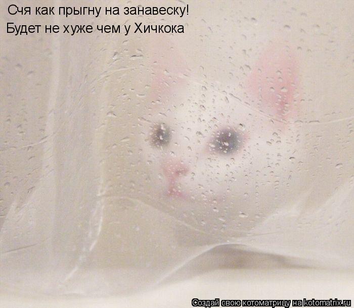 Котоматрица: Счя как прыгну на занавеску! Будет не хуже чем у Хичкока
