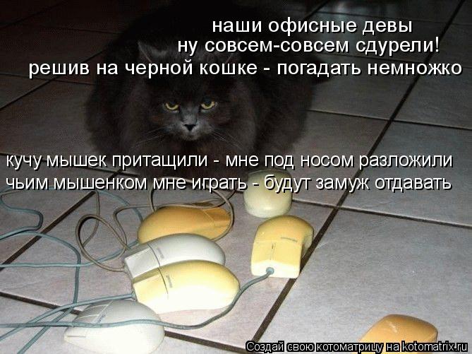наши офисные девы ну совсем-совсем сдурели! решив на черной кошке - погадать немножко кучу мышек прит... Котоматрица: наши офисные девы ну совсем-совсем сдурели! решив на черной кошке - погадать немножко кучу мышек притащили - мне под носом разложили чьим мы