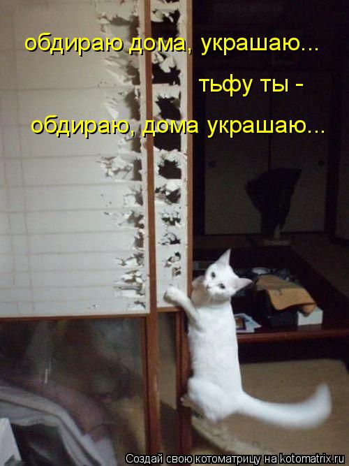 обдираю дома, украшаю... обдираю, дома украшаю... тьфу ты -... Котоматрица: обдираю дома, украшаю... обдираю, дома украшаю... тьфу ты -