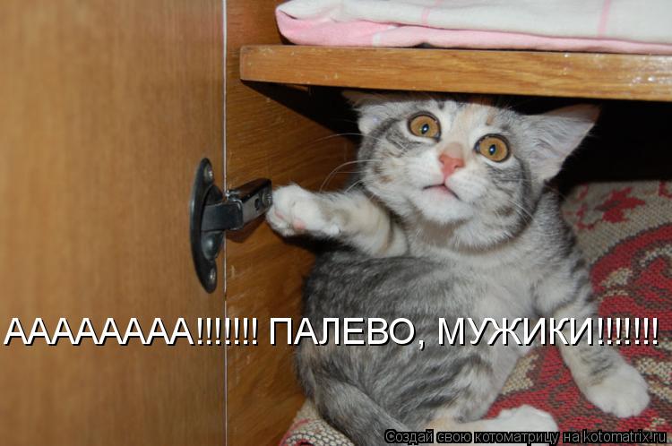 Котоматрица: АААААААА!!!!!!! ПАЛЕВО, МУЖИКИ!!!!!!!