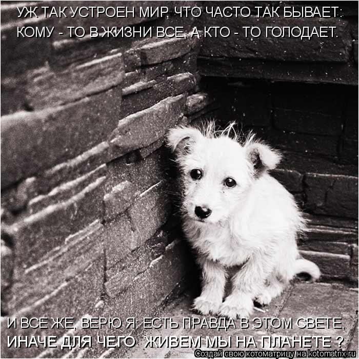 УЖ ТАК УСТРОЕН МИР, ЧТО ЧАСТО ТАК БЫВАЕТ: КОМУ - ТО В ЖИЗНИ ВСЕ, А КТО - ТО ГОЛОДАЕТ. И ВСЕ ЖЕ, ВЕРЮ ... Котоматрица: УЖ ТАК УСТРОЕН МИР, ЧТО ЧАСТО ТАК БЫВАЕТ: КОМУ - ТО В ЖИЗНИ ВСЕ, А КТО - ТО ГОЛОДАЕТ. И ВСЕ ЖЕ, ВЕРЮ Я: ЕСТЬ ПРАВДА В ЭТОМ СВЕТЕ, ИНАЧЕ ДЛЯ ЧЕГО ЖИ