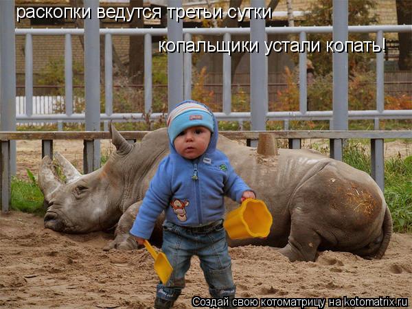 Котоматрица: раскопки ведутся третьи сутки копальщики устали копать!