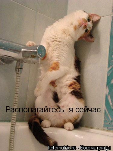 Котоматрица: Располагайтесь, я сейчас...
