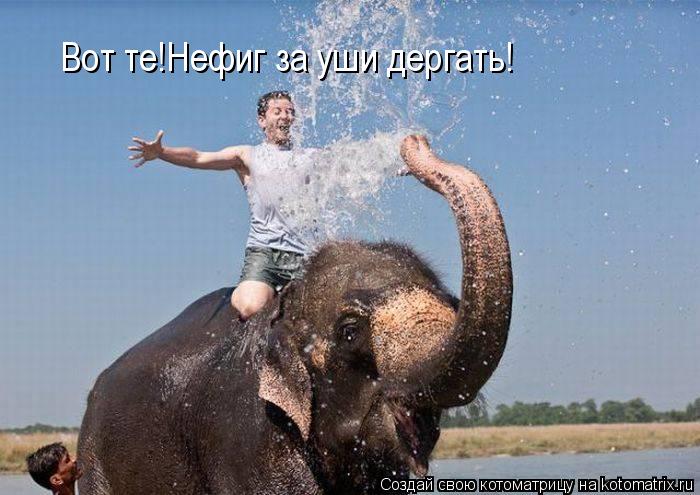 Котоматрица: Вот те!Нефиг за уши дергать!