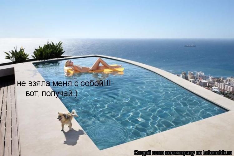 Котоматрица: не взяла меня с собой!!! вот, получай:)