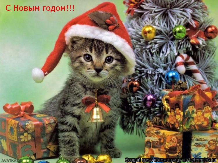 Котоматрица: С Новым годом!!!