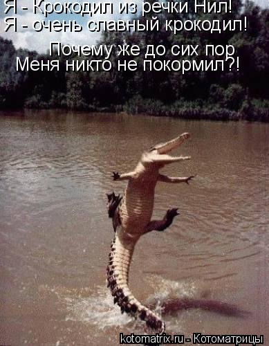 Котоматрица: Почему же до сих пор Я - Крокодил из речки Нил! Я - очень славный крокодил! Меня никто не покормил?!