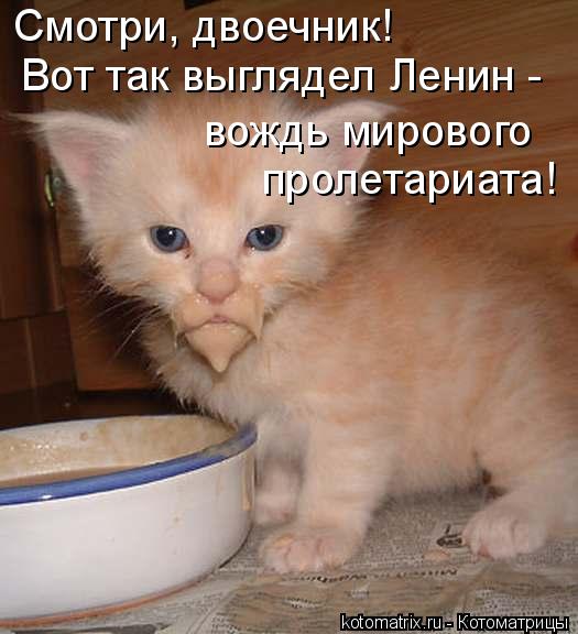 Котоматрица: Смотри, двоечник! Вот так выглядел Ленин -  вождь мирового  пролетариата!