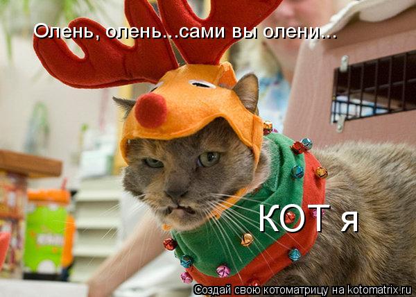 Котоматрица: Олень, олень...сами вы олени... КОТ я