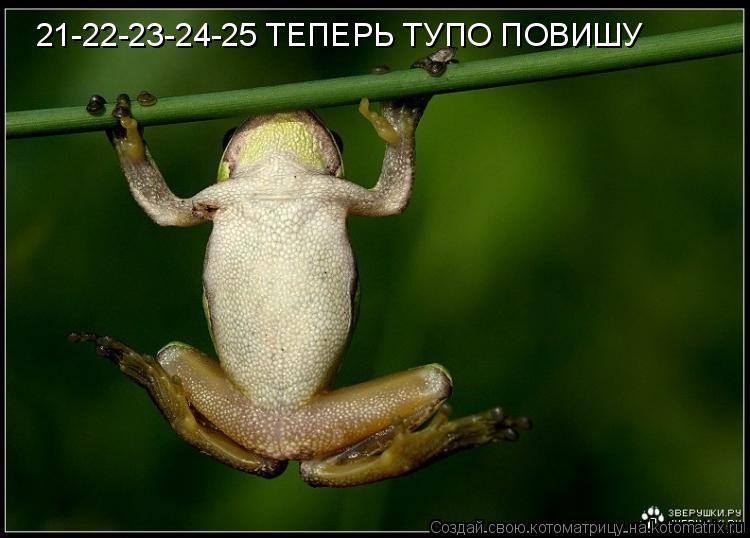 Котоматрица: 21-22-23-24-25 ТЕПЕРЬ ТУПО ПОВИШУ