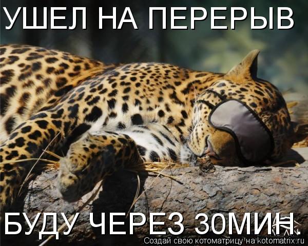 Котоматрица: УШЕЛ НА ПЕРЕРЫВ БУДУ ЧЕРЕЗ 30МИН.