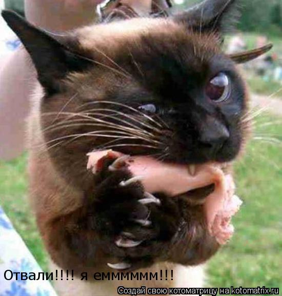 Котоматрица: Отвали!!!! я емммммм!!!