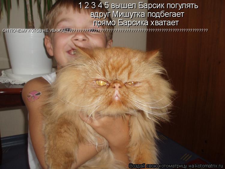Котоматрица: 1 2 3 4 5 вышел Барсик погулять вдруг Мишутка подбегает прямо Барсика хватает ОН ПОЧЕМУ КОТОВ НЕ УВАЖАЕТ??????????????????????????????????????????????