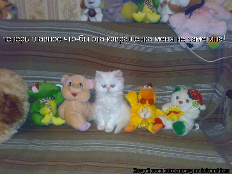 Котоматрица: теперь главное что-бы эта извращенка меня не заметила!