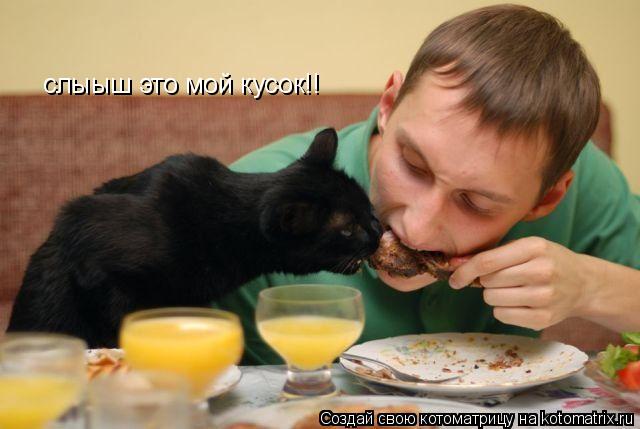 Котоматрица: слыыш это мой кусок!!