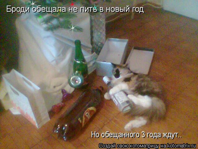 Котоматрица: Броди обещала не пить в новый год Но обещанного 3 года ждут..
