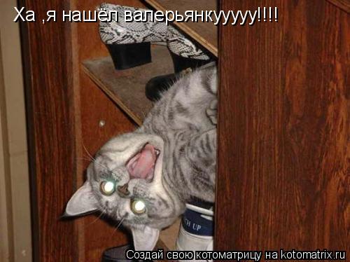 Ха ,я нашёл валерьянкууууу!!!!... Котоматрица: Ха ,я нашёл валерьянкууууу!!!!