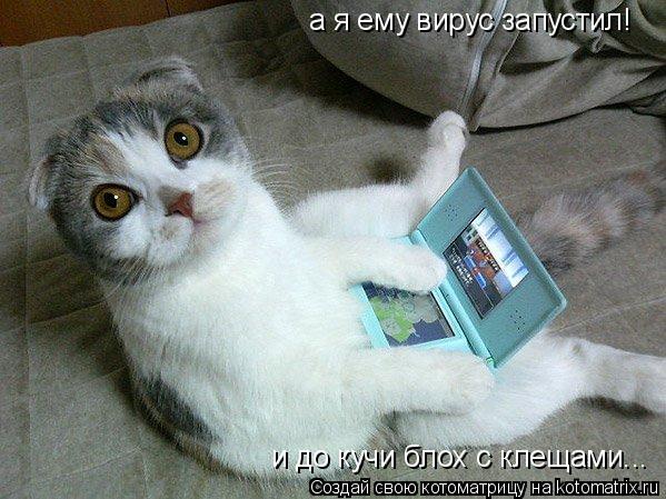 а я ему вирус запустил! и до кучи блох с клещами...... Котоматрица: а я ему вирус запустил! и до кучи блох с клещами...
