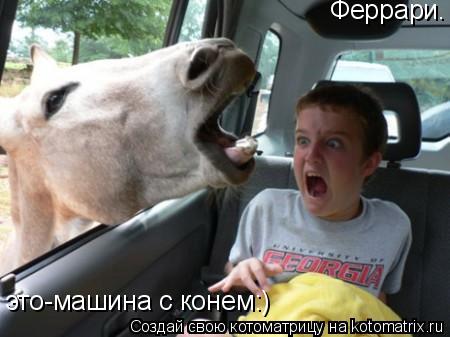 Котоматрица: Феррари. это-машина с конем:)