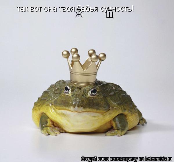 Котоматрица: так вот она твоя бабья сучность! - - Ж Щ