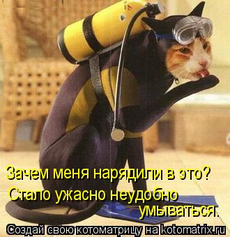 Котоматрица: Зачем меня нарядили в это? Стало ужасно неудобно  умываться.