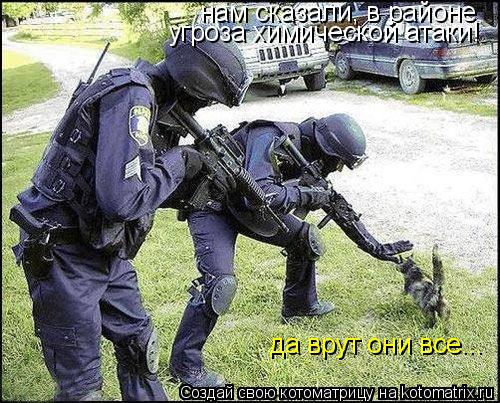Котоматрица: нам сказали, в районе угроза химической атаки! да врут они все...