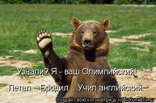 Котоматрица: Узнали? Я - ваш Олимпийский! Летал... Бродил... Учил английский...