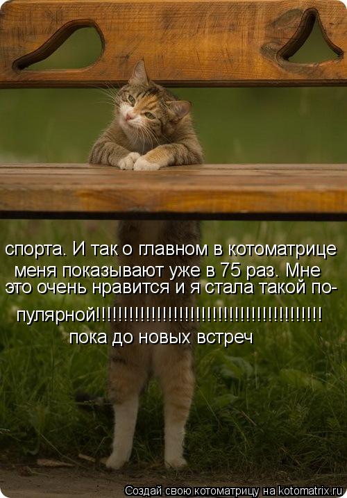 Котоматрица: спорта. И так о главном в котоматрице меня показывают уже в 75 раз. Мне это очень нравится и я стала такой по- пулярной!!!!!!!!!!!!!!!!!!!!!!!!!!!!!!!