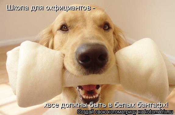 Котоматрица: Школа для охфициантов - хвсе должны быть в белых бантафх!