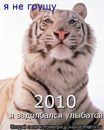 Котоматрица: я не грущу я задолбался улыбатся 2010