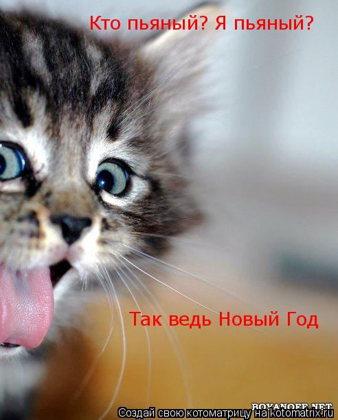 Кто пьяный? Я пьяный? Так ведь Новый Год... Котоматрица: Кто пьяный? Я пьяный? Так ведь Новый Год