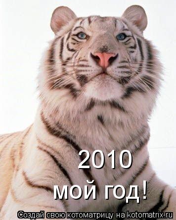 2010 мой год!... Котоматрица: 2010 мой год!
