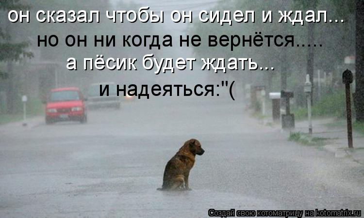 он сказал чтобы он сидел и ждал... но он ни когда не вернётся..... а пёсик будет ждать... и надеяться... Котоматрица: он сказал чтобы он сидел и ждал... но он ни когда не вернётся..... а пёсик будет ждать... и надеяться:"(