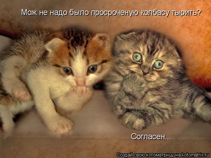 Котоматрица: Мож не надо было просроченую колбасу тырить? Согласен...