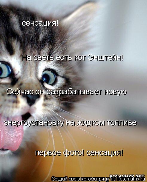Котоматрица: сенсация! На свете есть кот Энштейн! Сейчас он разрабатывает новую энергоустановку на жидком топливе первое фото! сенсация!