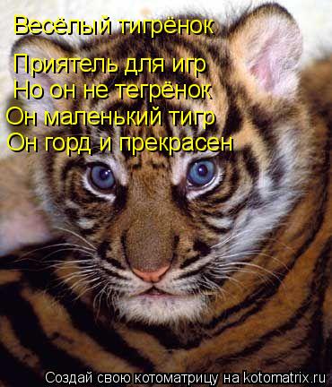 Котоматрица: Весёлый тигрёнок Приятель для игр Но он не тегрёнок Он маленький тигр Он горд и прекрасен