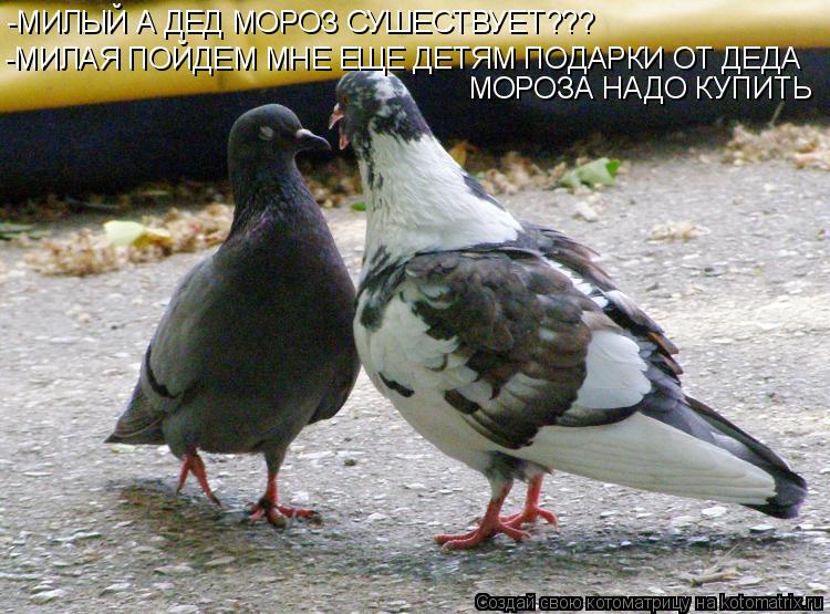 -МИЛЫЙ А ДЕД МОРОЗ СУШЕСТВУЕТ??? -МИЛАЯ ПОЙДЕМ МНЕ ЕЩЕ ДЕТЯМ ПОДАРКИ ОТ ДЕДА МОРОЗА НАДО КУПИТЬ... Котоматрица: -МИЛЫЙ А ДЕД МОРОЗ СУШЕСТВУЕТ??? -МИЛАЯ ПОЙДЕМ МНЕ ЕЩЕ ДЕТЯМ ПОДАРКИ ОТ ДЕДА МОРОЗА НАДО КУПИТЬ