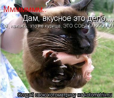 Ммммммм.. Дам вкусное это дело.... Дам, вкусное это дело.... Ой, кажысь, это не курица, ЭТО СОБАААККК... Котоматрица: Ммммммм.. Дам вкусное это дело.... Дам, вкусное это дело.... Ой, кажысь, это не курица, ЭТО СОБАААКККААА!!!!!!