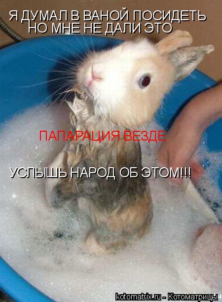 Котоматрица: Я ДУМАЛ В ВАНОЙ ПОСИДЕТЬ НО МНЕ НЕ ДАЛИ ЭТО УСЛЫШЬ НАРОД ОБ ЭТОМ!!! ПАПАРАЦИЯ ВЕЗДЕ
