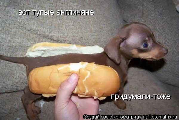 вот тупые англичяне придумали-тоже... Котоматрица: вот тупые англичяне придумали-тоже