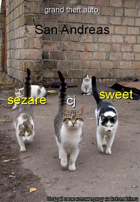 grand theft auto San Andreas cj sweet sezare... Котоматрица: grand theft auto San Andreas cj sweet sezare