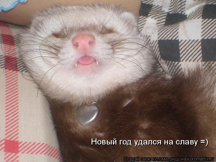Котоматрица: Новый год удался на славу =)