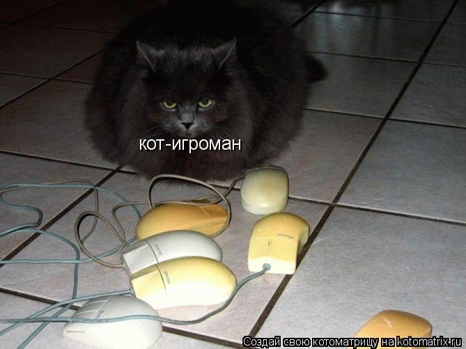 Котоматрица: кот-игроман