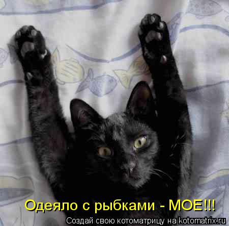 Одеяло с рыбками - МОЕ!!!... Котоматрица: Одеяло с рыбками - МОЕ!!!