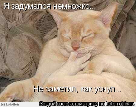 Я задумался немножко... Не заметил, как уснул...... Котоматрица: Я задумался немножко... Не заметил, как уснул...