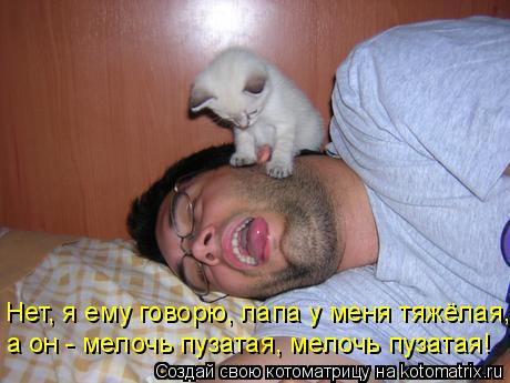 Нет, я ему говорю, лапа у меня тяжёлая, а он - мелочь пузатая, мелочь пузатая!... Котоматрица: Нет, я ему говорю, лапа у меня тяжёлая, а он - мелочь пузатая, мелочь пузатая!