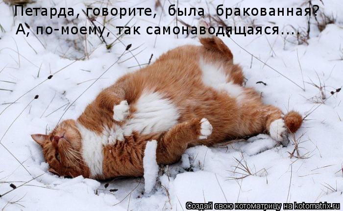 А, по-моему, так самонаводящаяся.... Петарда, говорите, была бракованная?... Котоматрица: А, по-моему, так самонаводящаяся.... Петарда, говорите, была бракованная?