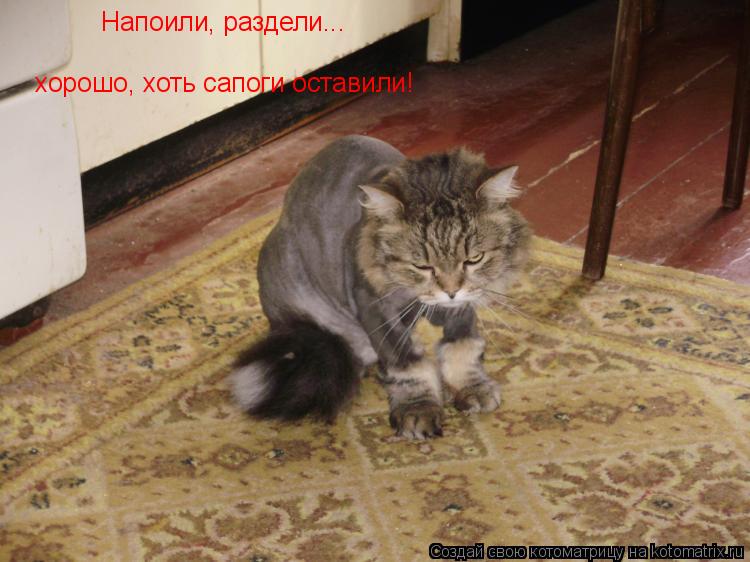 напоили раздели 